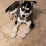 Skye